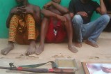 Police nab three suspected cultists with arms in Ogun