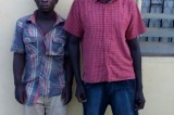 Ogun police nab two for raping pawpaw hawker