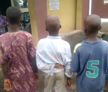 The suspected kid armed robbers.